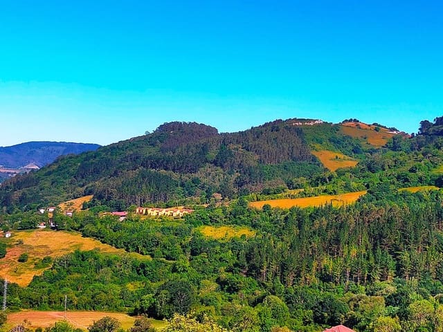 Terre non Aménagée à vendre à Candamo - 56 000 € (Ref: 9945126)