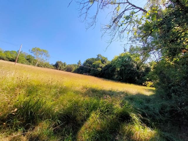 Terre non Aménagée à vendre à Candamo - 56 000 € (Ref: 9945126)
