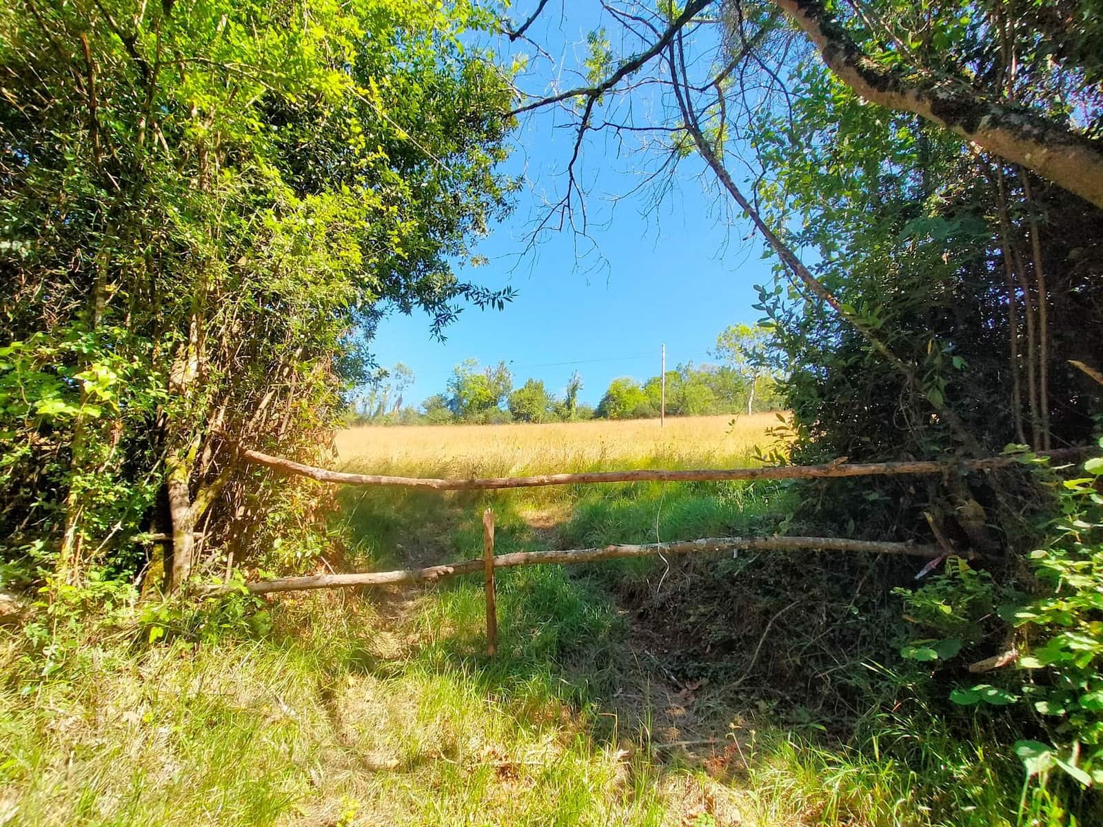 Terre non Aménagée à vendre à Candamo - 56 000 € (Ref: 9945126)