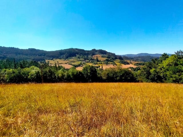 Terre non Aménagée à vendre à Candamo - 56 000 € (Ref: 9945126)