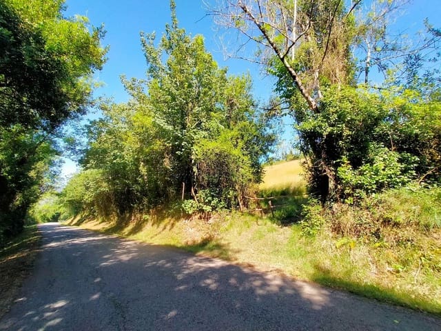 Terre non Aménagée à vendre à Candamo - 56 000 € (Ref: 9945126)