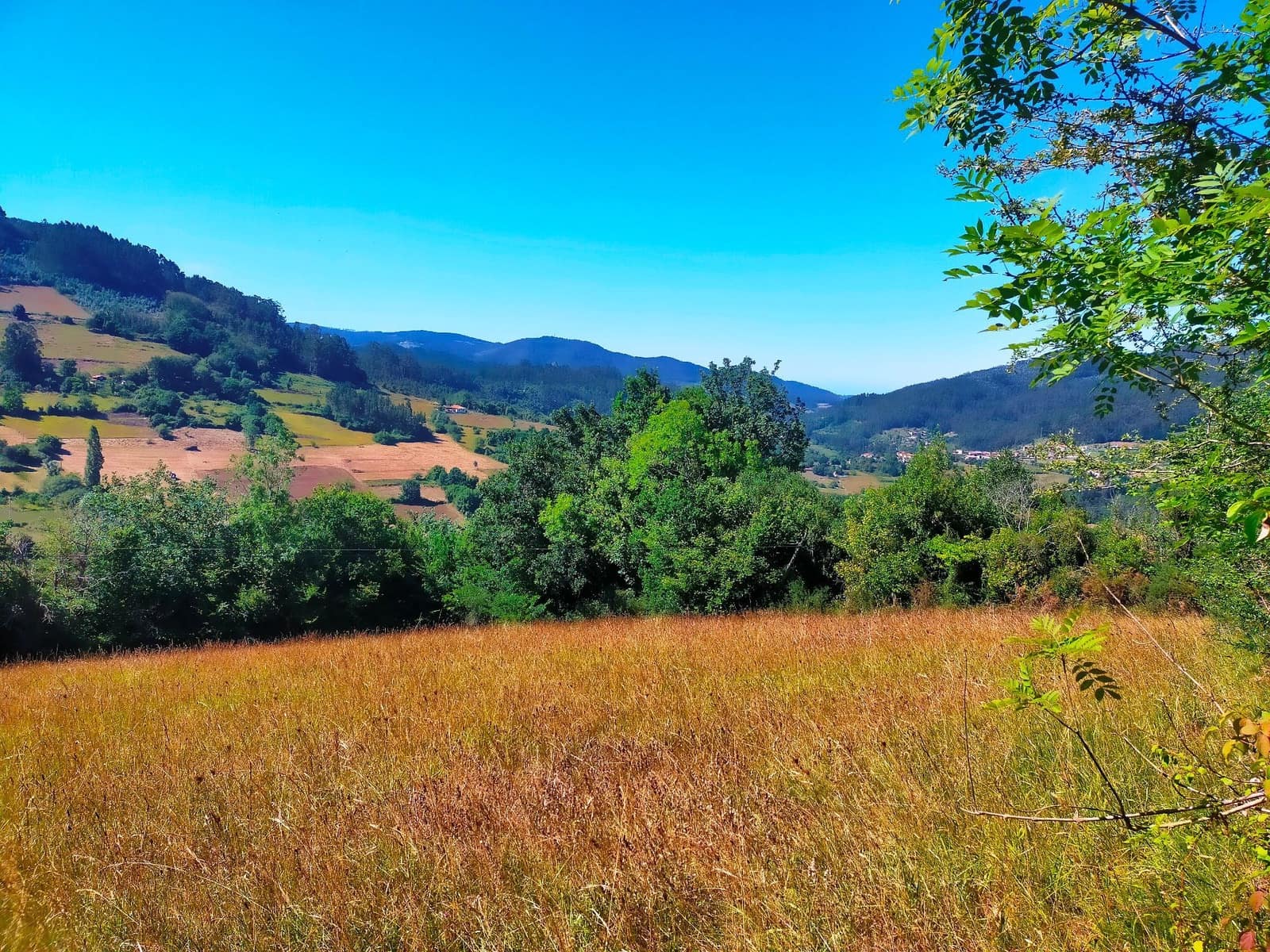 Terre non Aménagée à vendre à Candamo - 56 000 € (Ref: 9945126)
