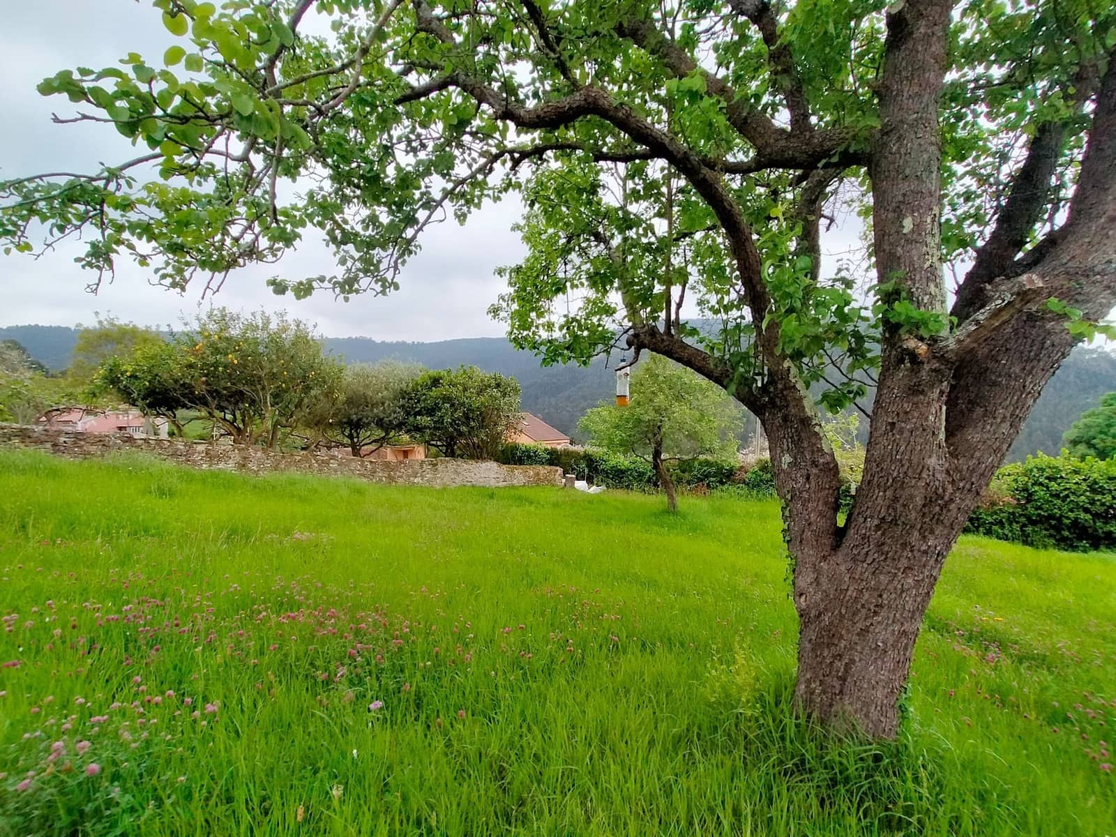 2 bedroom Villa for sale in Pravia - € 180,000 (Ref: 9954682)