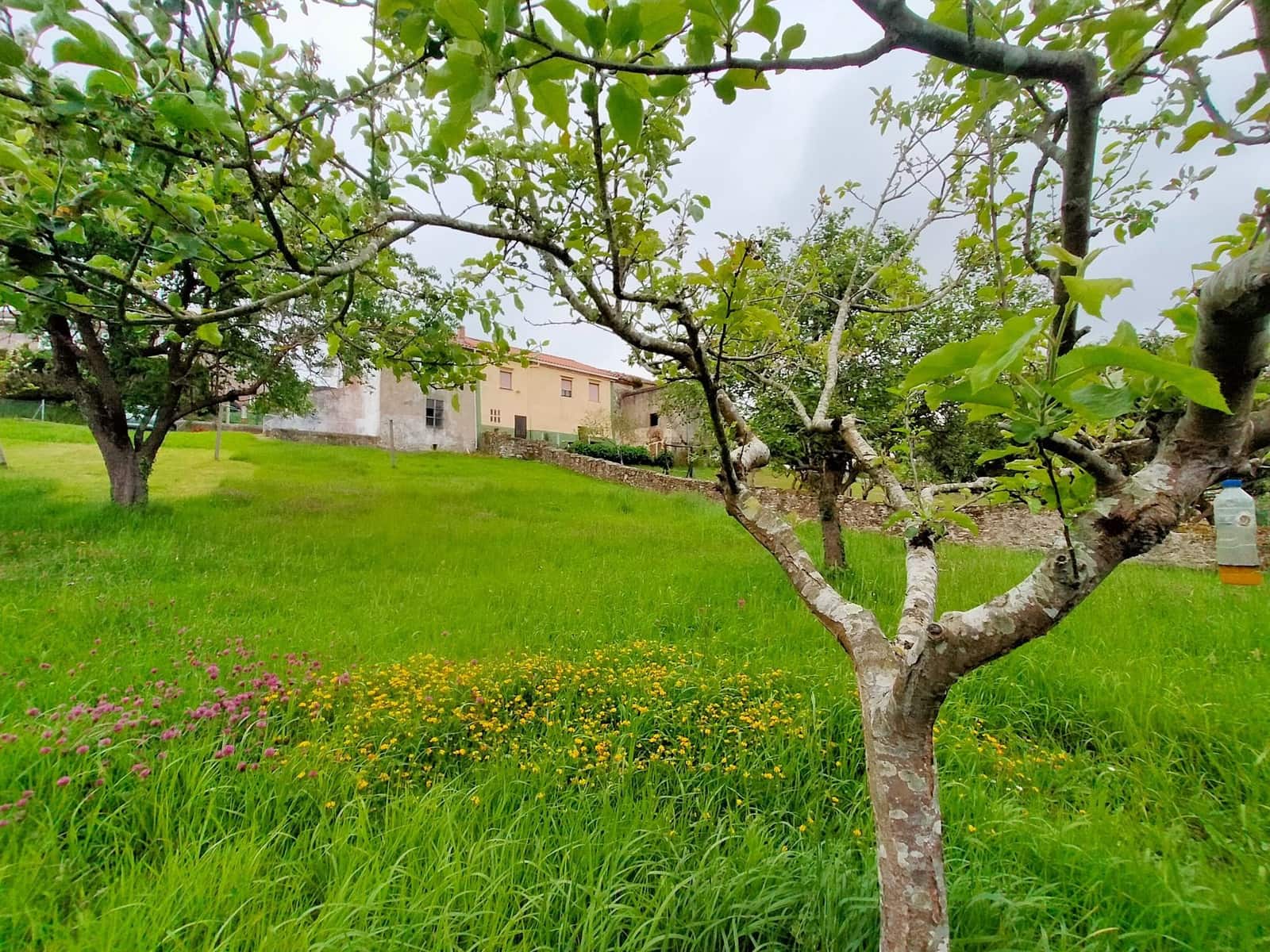 2 bedroom Villa for sale in Pravia - € 180,000 (Ref: 9954682)