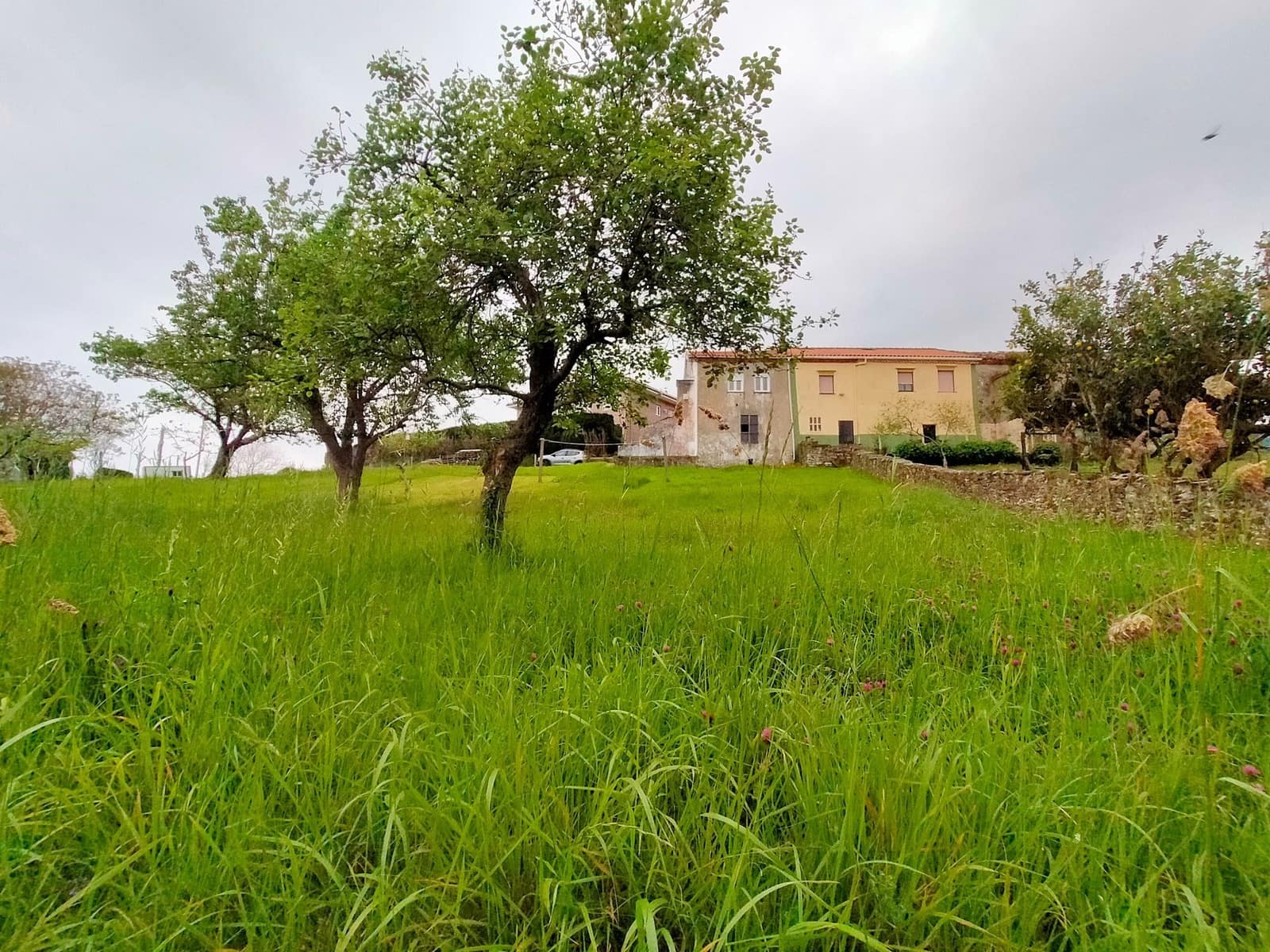 2 bedroom Villa for sale in Pravia - € 180,000 (Ref: 9954682)