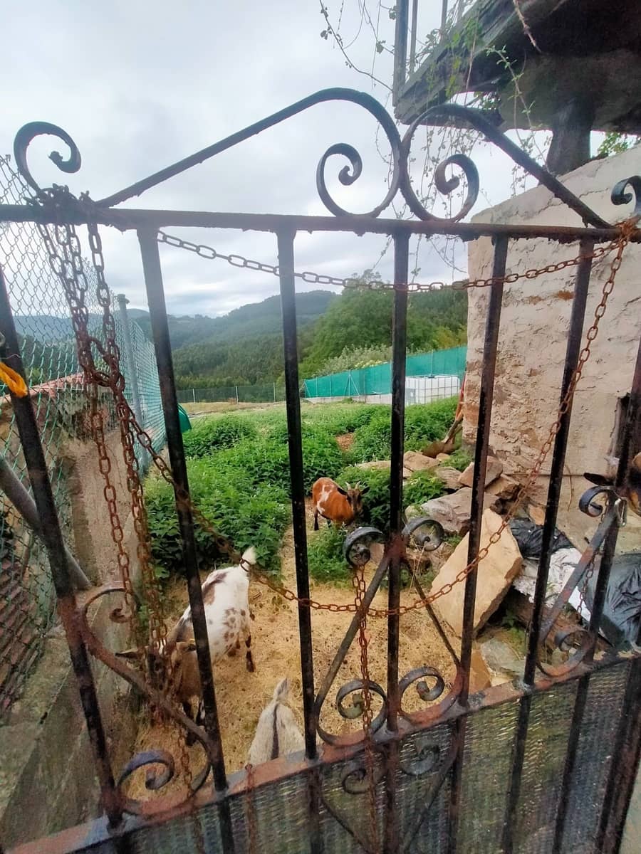 Casa de 3 habitaciones en Pravia en venta con garaje - 135.000 € (Ref: 9999534)