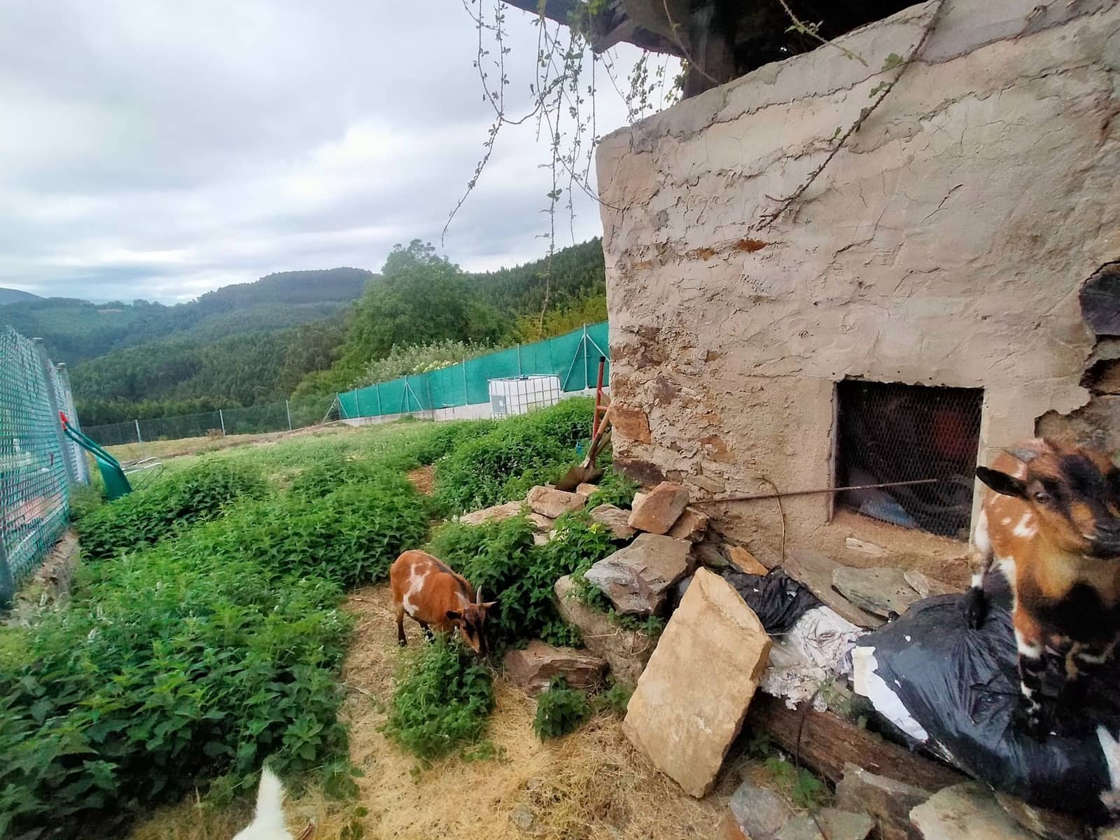 Casa de 3 habitaciones en Pravia en venta con garaje - 135.000 € (Ref: 9999534)