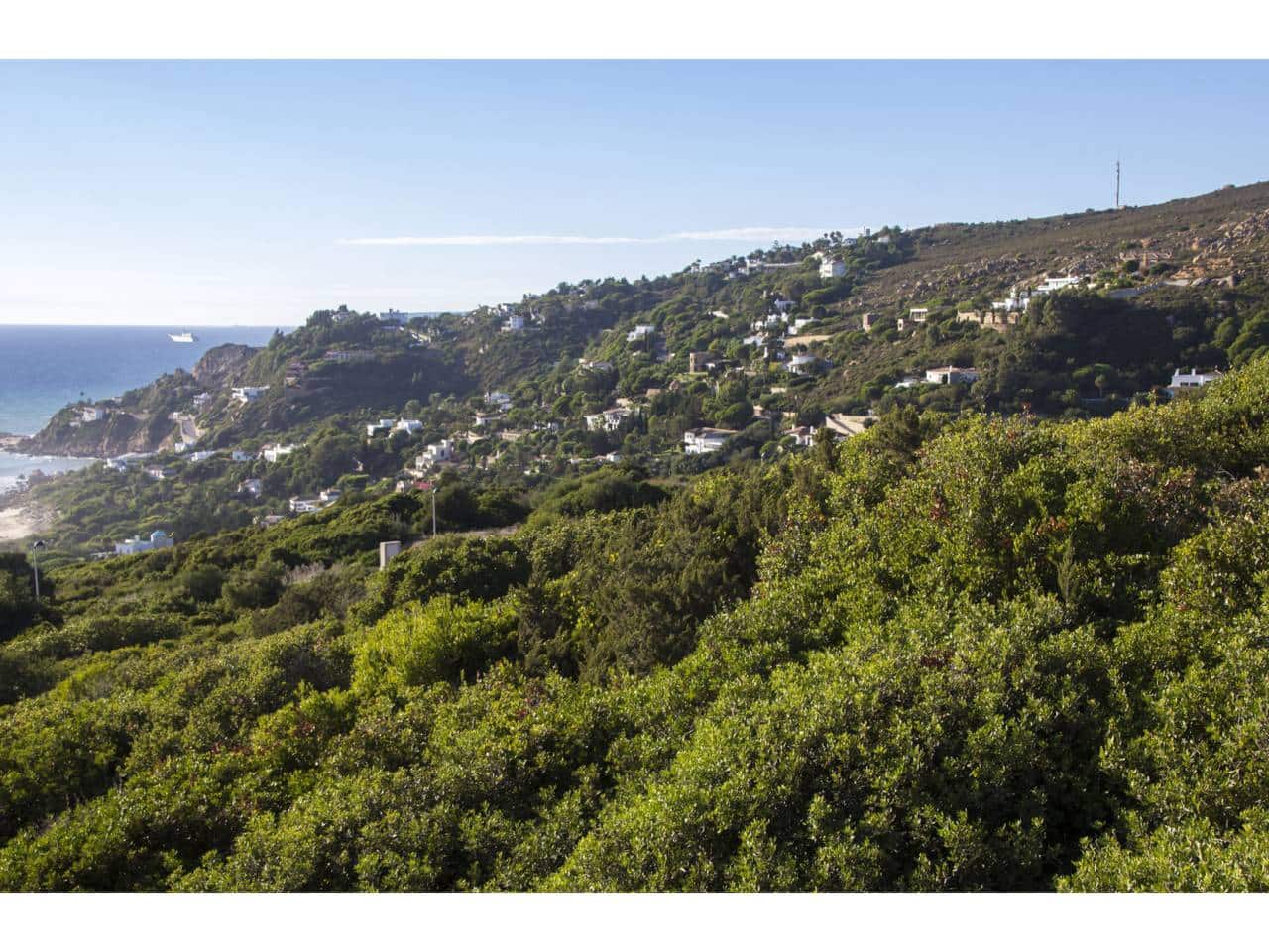 Grunde uden byggetilladelser til salg i Tarifa - € 1.048.800 (Ref: 8688803)