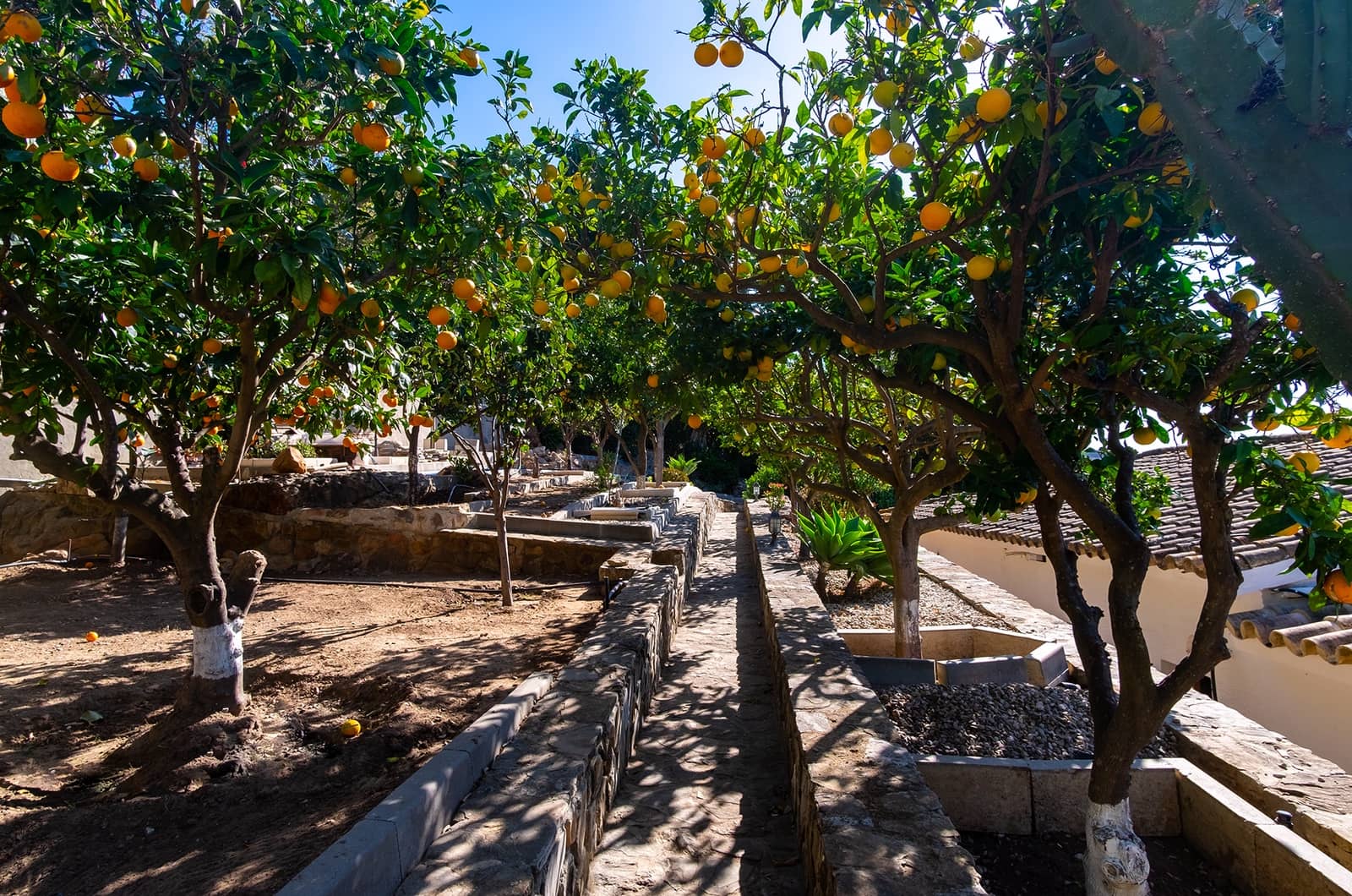 Casa de 4 habitaciones en Zahara de los Atunes en venta con piscina garaje - 2.700.000 € (Ref: 9649918)