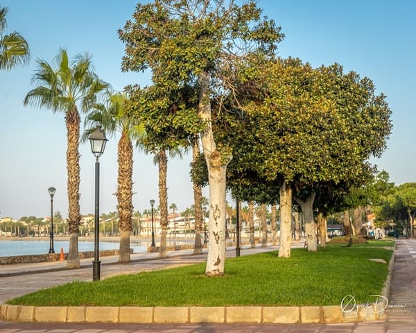 1 camera da letto Appartamento in vendita in Los Narejos - Punta Calera, Los Alcázares con piscina garage - 112.000 € (Rif: 10060566)