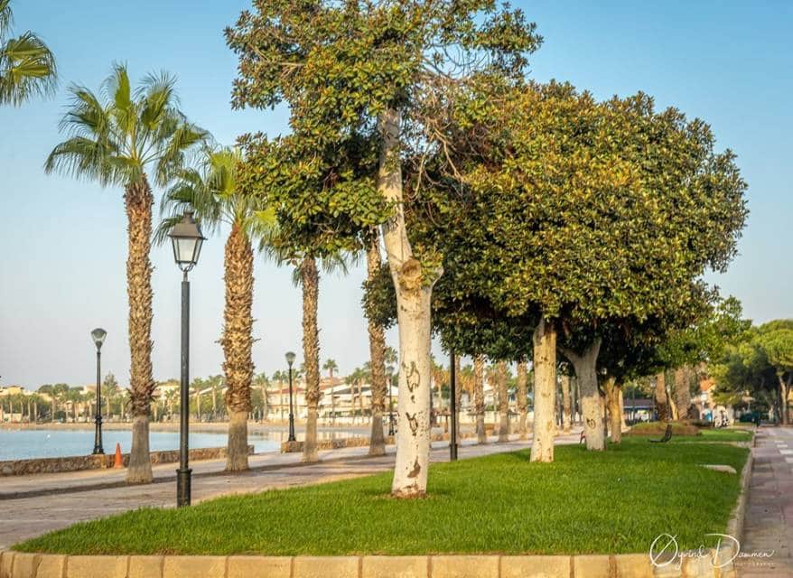 Apartamento de 1 habitación en Los Alcázares en venta - 128.000 € (Ref: 10116085)