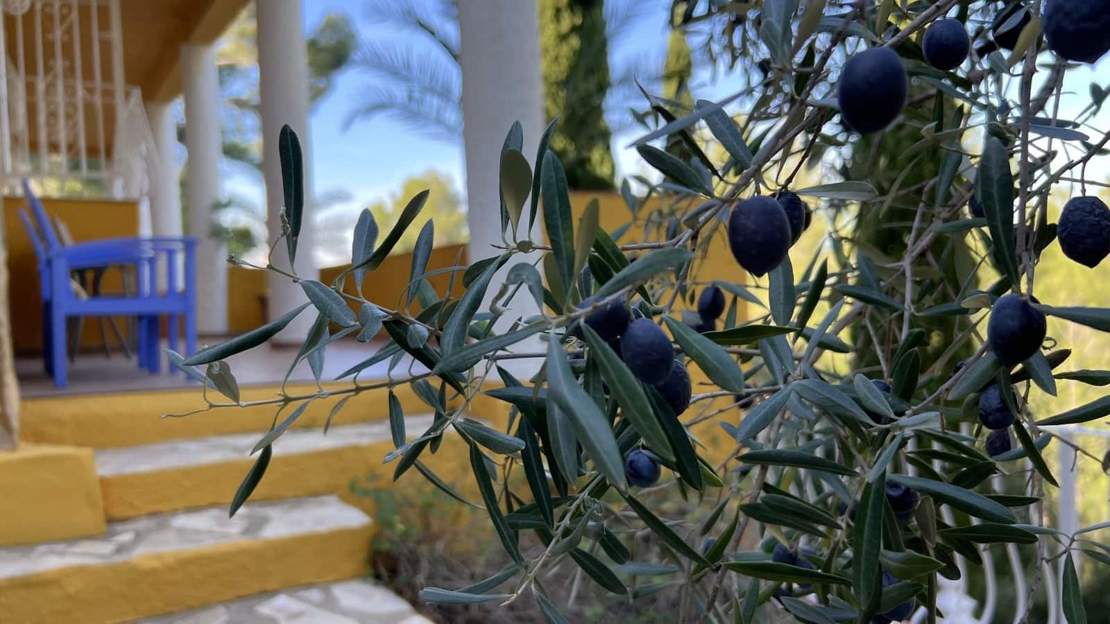 4 soveværelse Villa til salg i Benidoleig med swimmingpool garage - € 465.000 (Ref: 8052398)