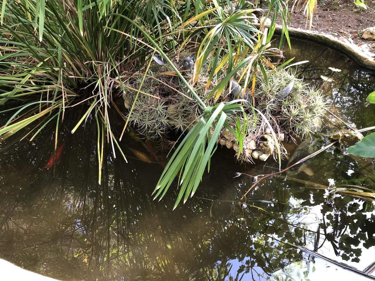 2 soverom Villa til salgs i Javea / Xabia - € 750 000 (Ref: 8599202)