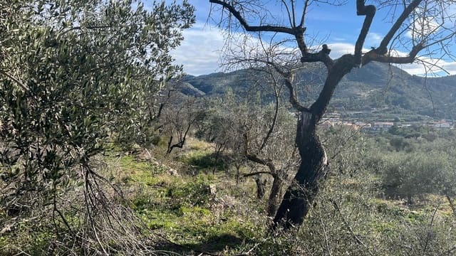 Undeveloped Land for sale in Castell de Castells - € 120,000 (Ref: 8773027)