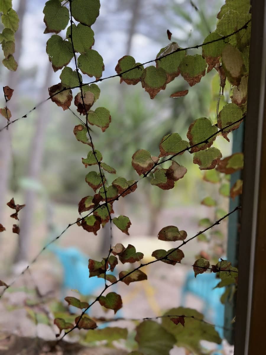 4 camera da letto Villa in vendita in Castell de Castells con piscina garage - 485.000 € (Rif: 9344314)