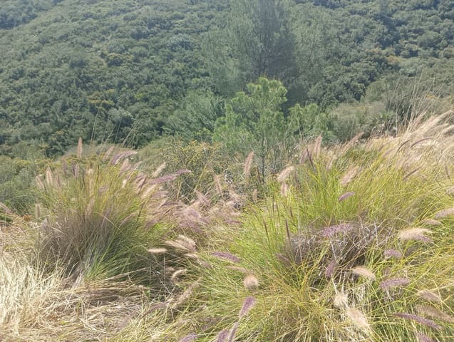 Grunde uden byggetilladelser til salg i Dénia - € 85.000 (Ref: 9508252)