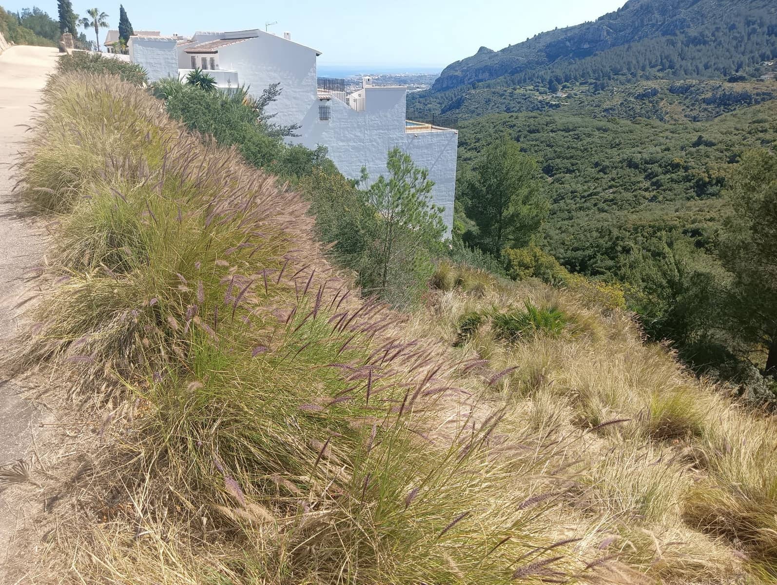 Grunde uden byggetilladelser til salg i Denia - € 85.000 (Ref: 9508252)