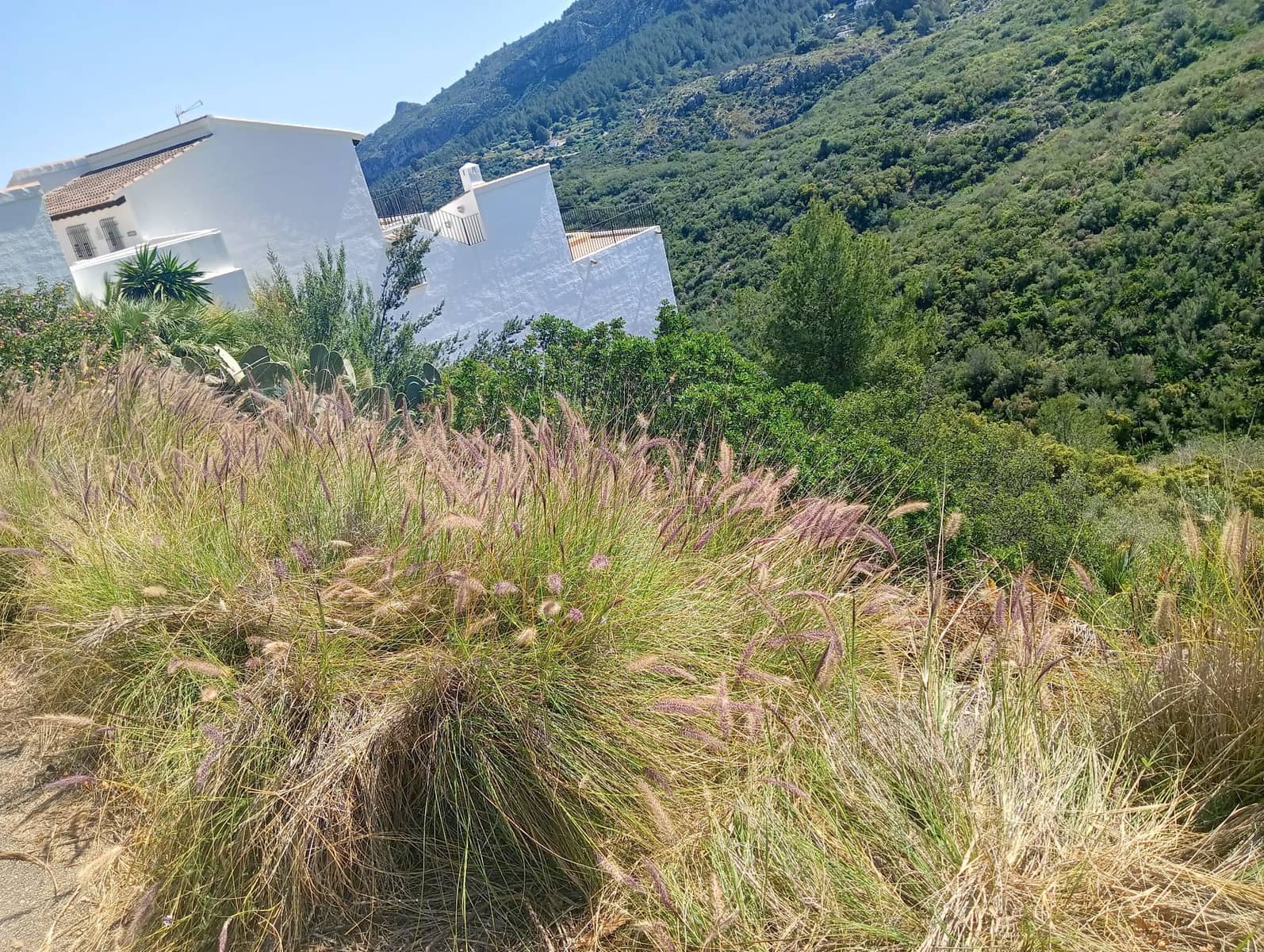 Grunde uden byggetilladelser til salg i Denia - € 85.000 (Ref: 9508252)