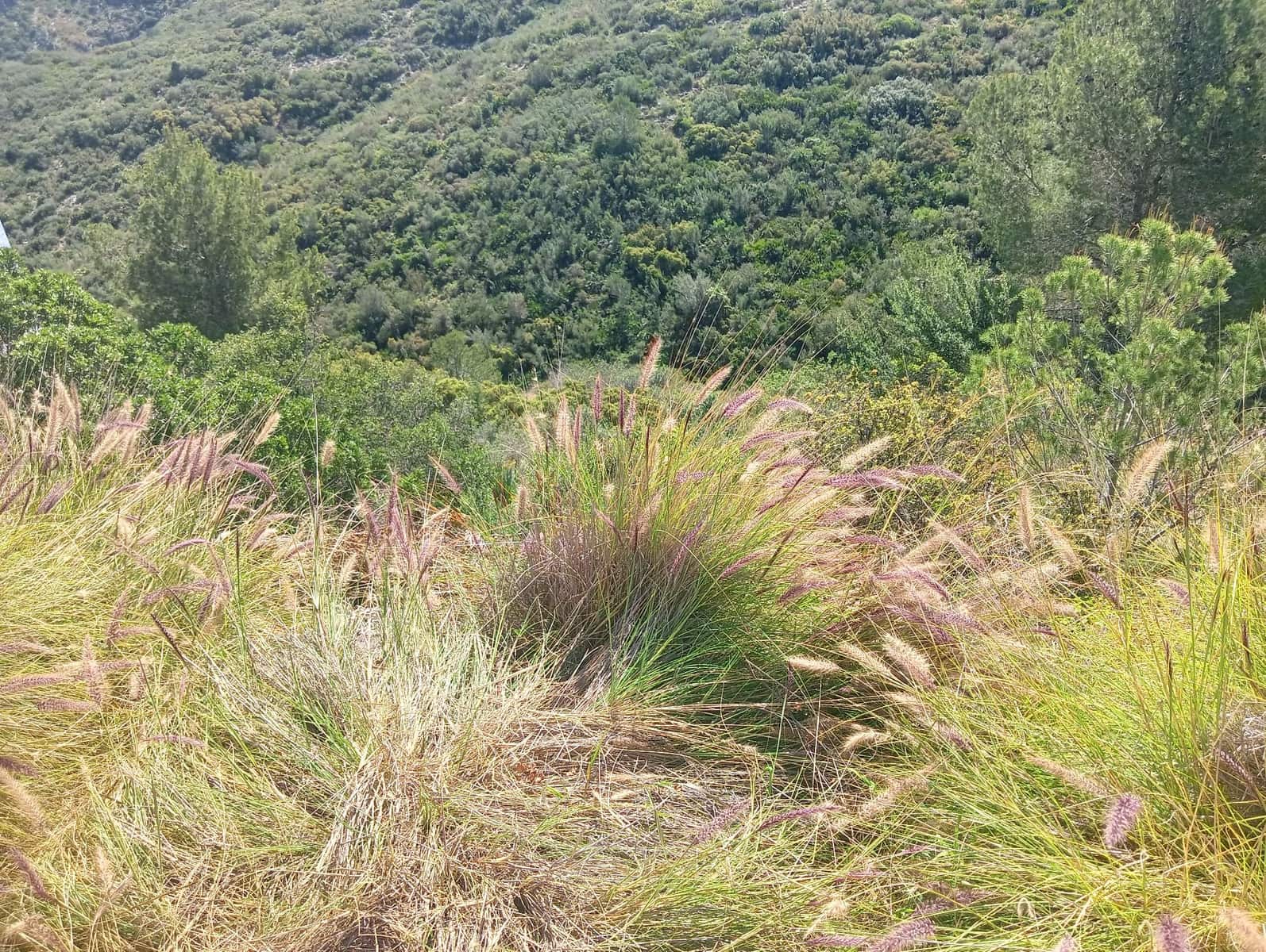 Grunde uden byggetilladelser til salg i Denia - € 85.000 (Ref: 9508252)