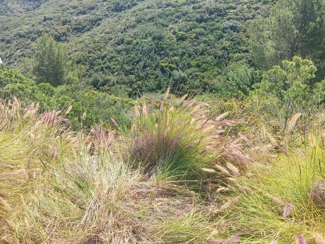 Grunde uden byggetilladelser til salg i Dénia - € 85.000 (Ref: 9508252)