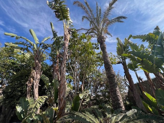 4 makuuhuone Huvila myytävänä paikassa Villaverde, La Oliva mukana uima-altaan 
autotalli - 849 000 € (Ref: 9095026)