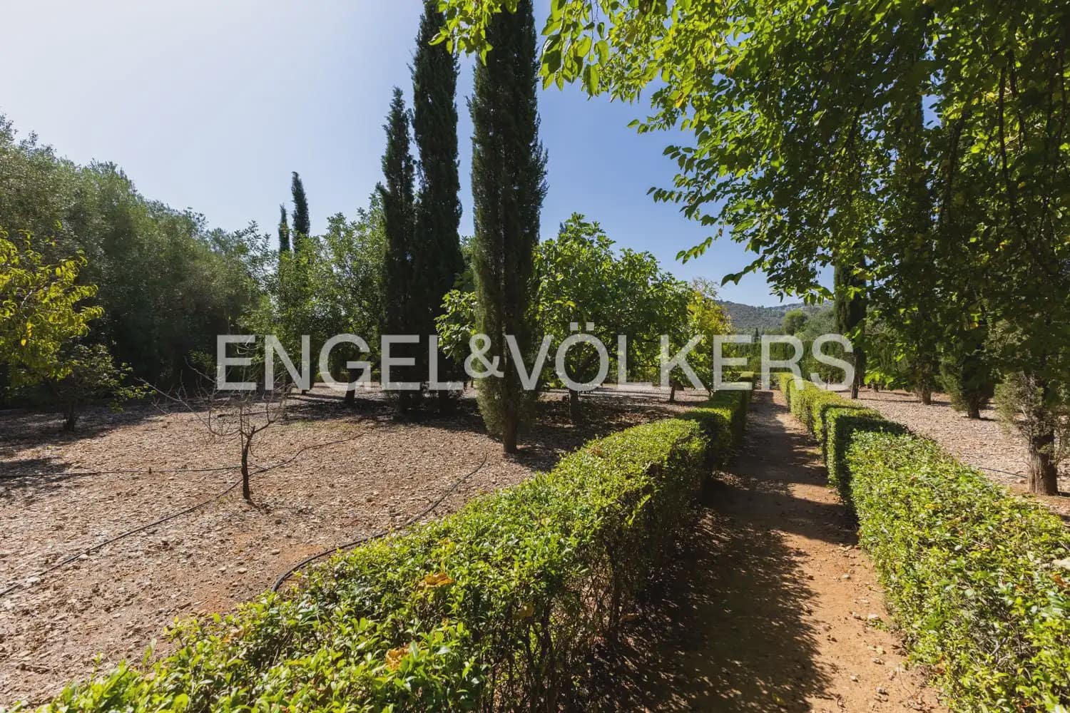 4 bedroom Finca/Country House for sale in Pedreguer with pool garage - € 1,590,000 (Ref: 10024936)