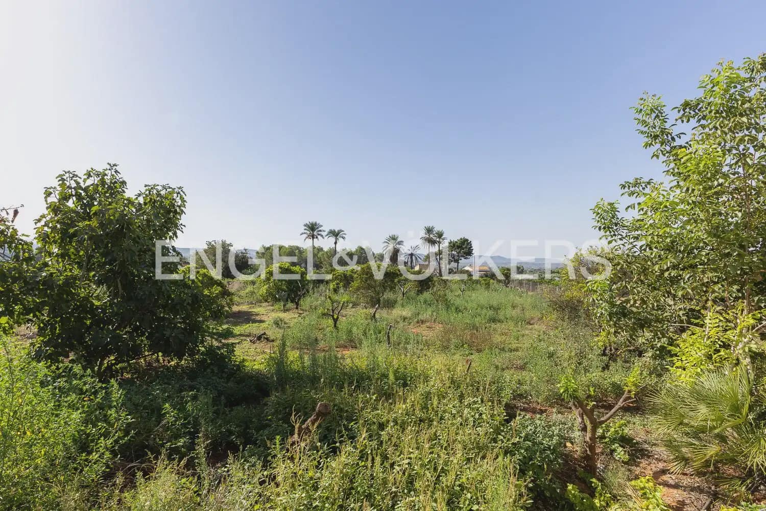 4 bedroom Finca/Country House for sale in Carcaixent with garage - € 275,000 (Ref: 10080174)