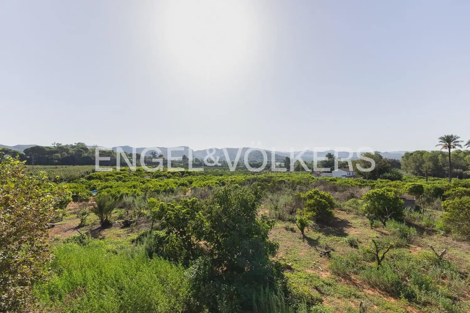 4 bedroom Finca/Country House for sale in Carcaixent with garage - € 275,000 (Ref: 10080174)