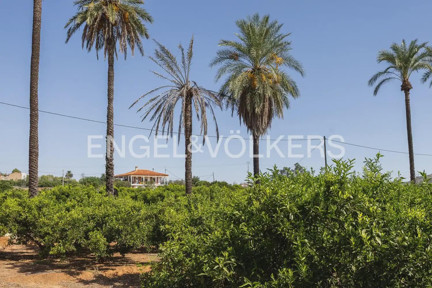 4 bedroom Finca/Country House for sale in Carcaixent with garage - € 275,000 (Ref: 10080174)