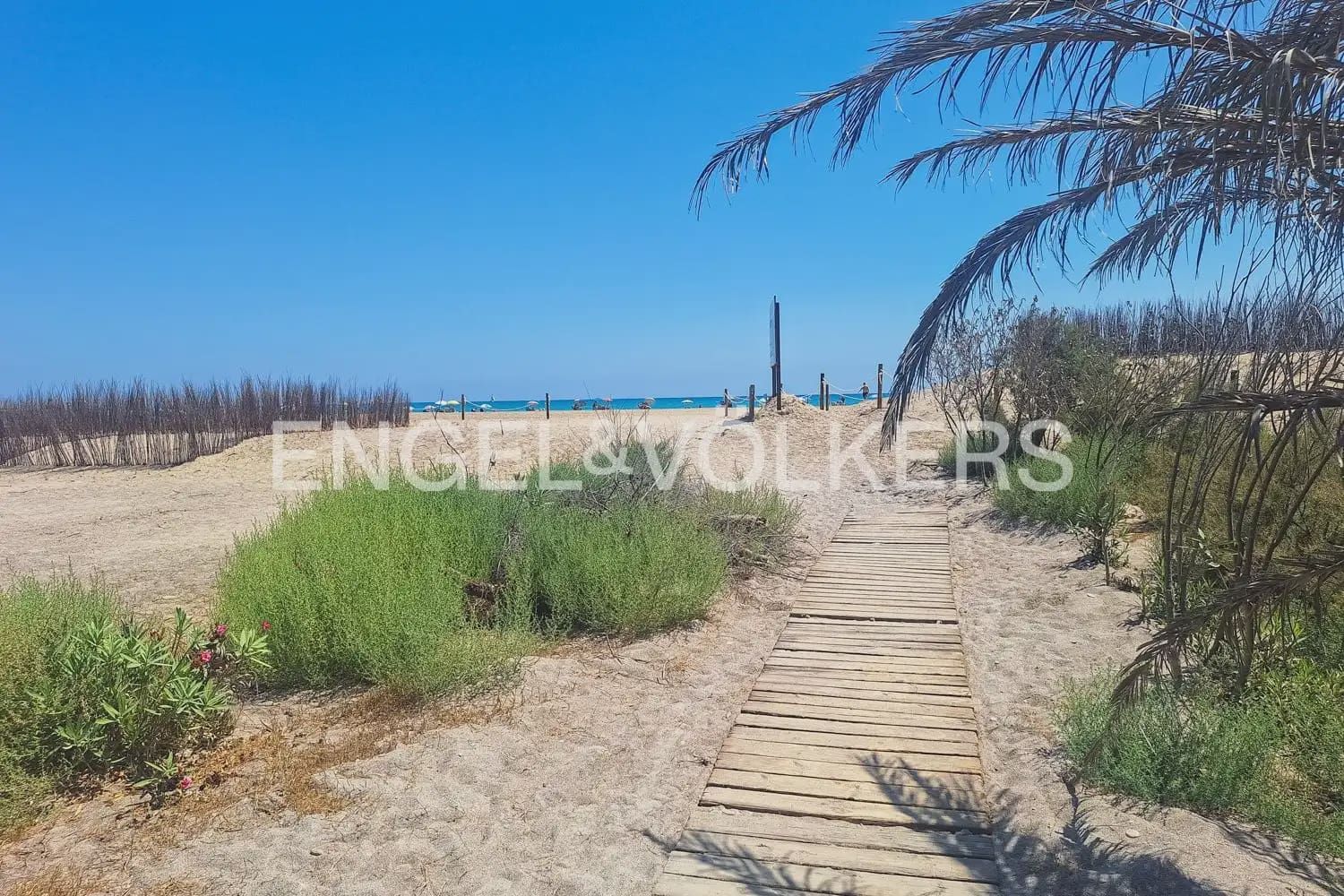 Tomt till salu i Sagunto / Sagunt - 200 000 € (Ref: 10095368)