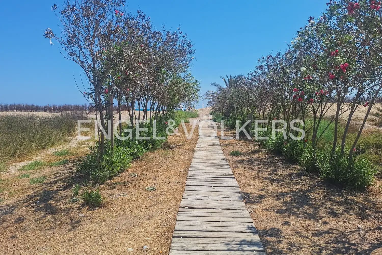 Tomt till salu i Sagunto / Sagunt - 200 000 € (Ref: 10095766)