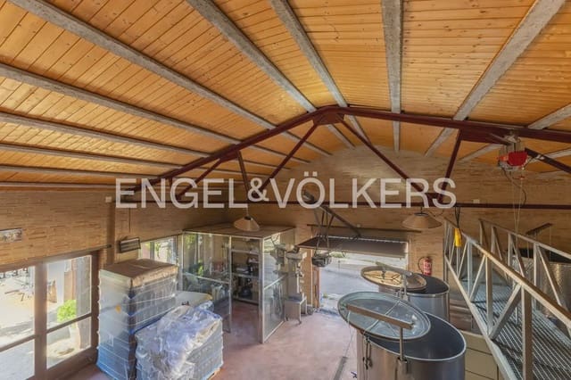 2 chambre Entreprise à vendre à Utiel - 379 000 € (Ref: 10111913)