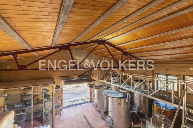 2 chambre Entreprise à vendre à Utiel - 379 000 € (Ref: 10111913)