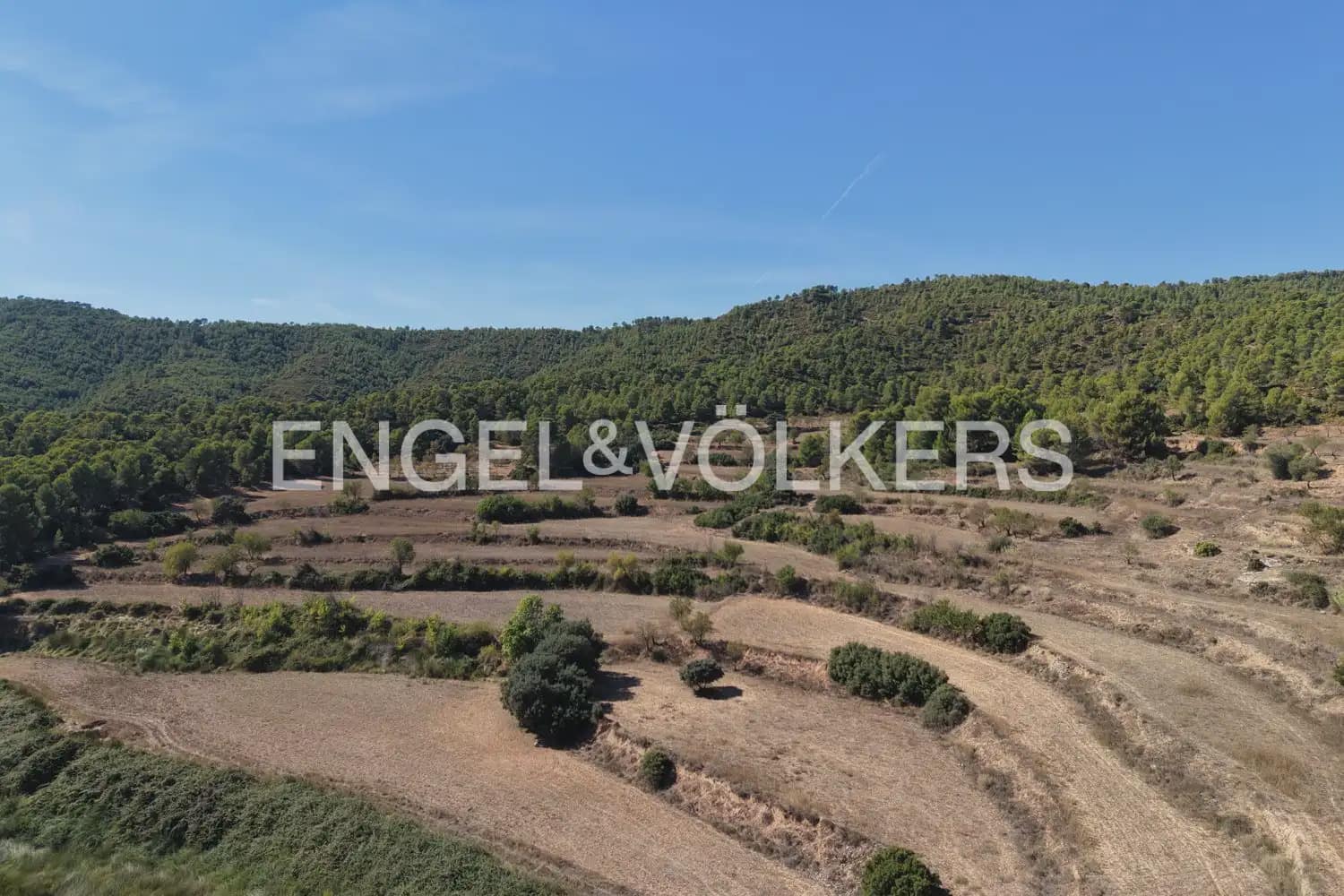 Quinta/Casa Rural para venda em Requena - 1 210 000 € (Ref: 10111916)