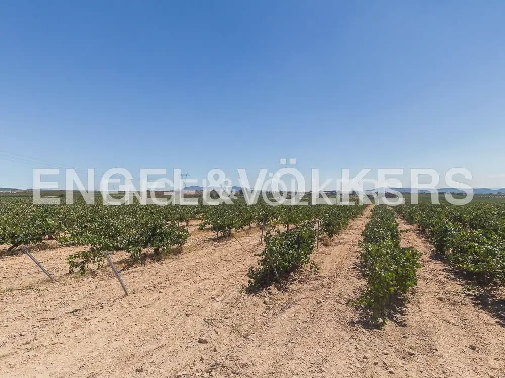 10 slaapkamer Finca/Landhuis te koop in Requena met zwembad - € 1.700.000 (Ref: 10113471)