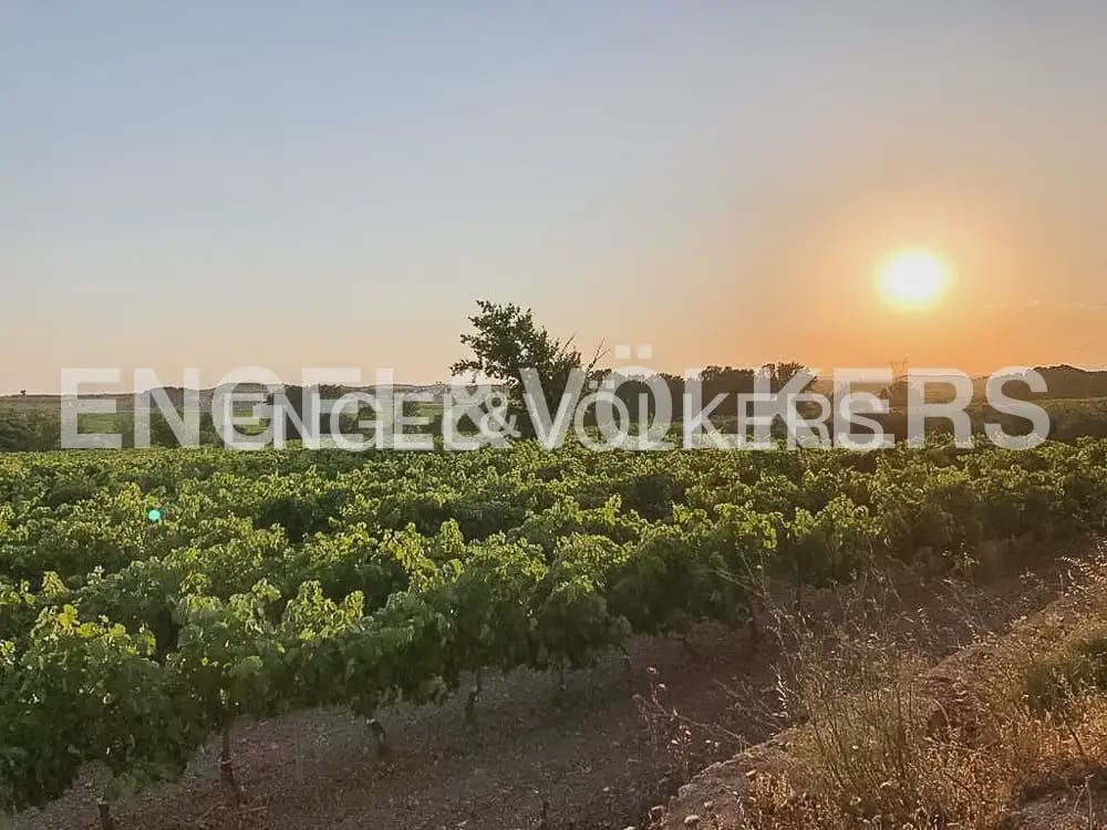10 slaapkamer Finca/Landhuis te koop in Requena met zwembad - € 1.700.000 (Ref: 10113471)