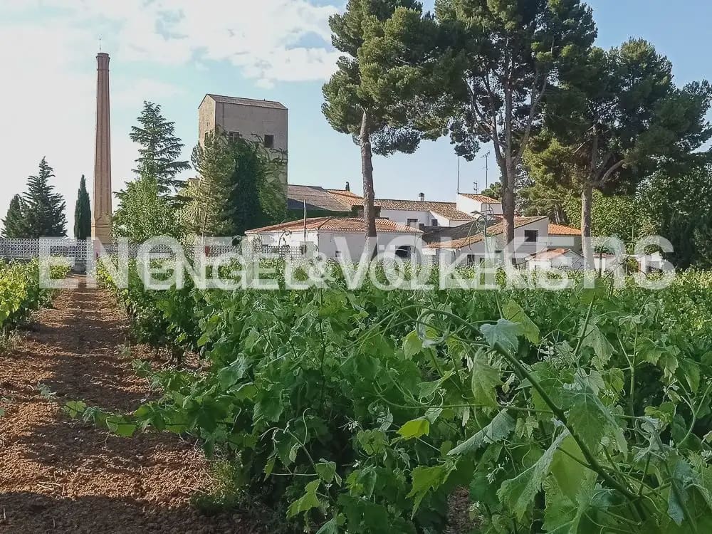 10 slaapkamer Finca/Landhuis te koop in Requena met zwembad - € 1.700.000 (Ref: 10113471)