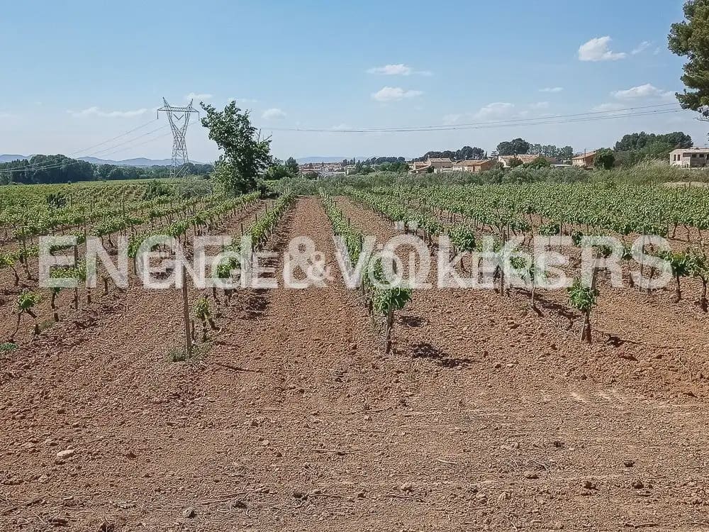 10 slaapkamer Finca/Landhuis te koop in Requena met zwembad - € 1.700.000 (Ref: 10113471)