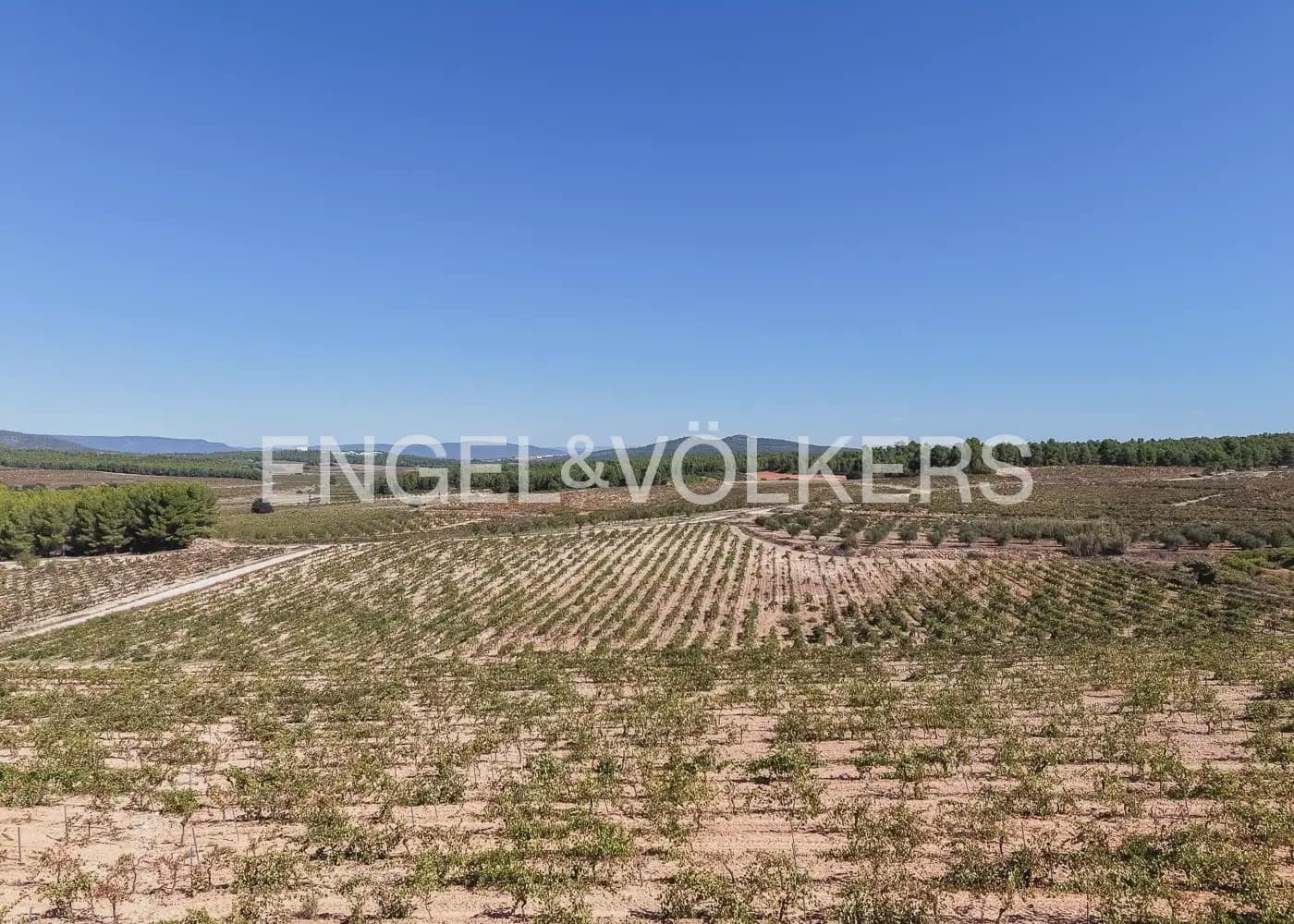 Terre non Aménagée à vendre à Utiel - 239 900 € (Ref: 10113474)