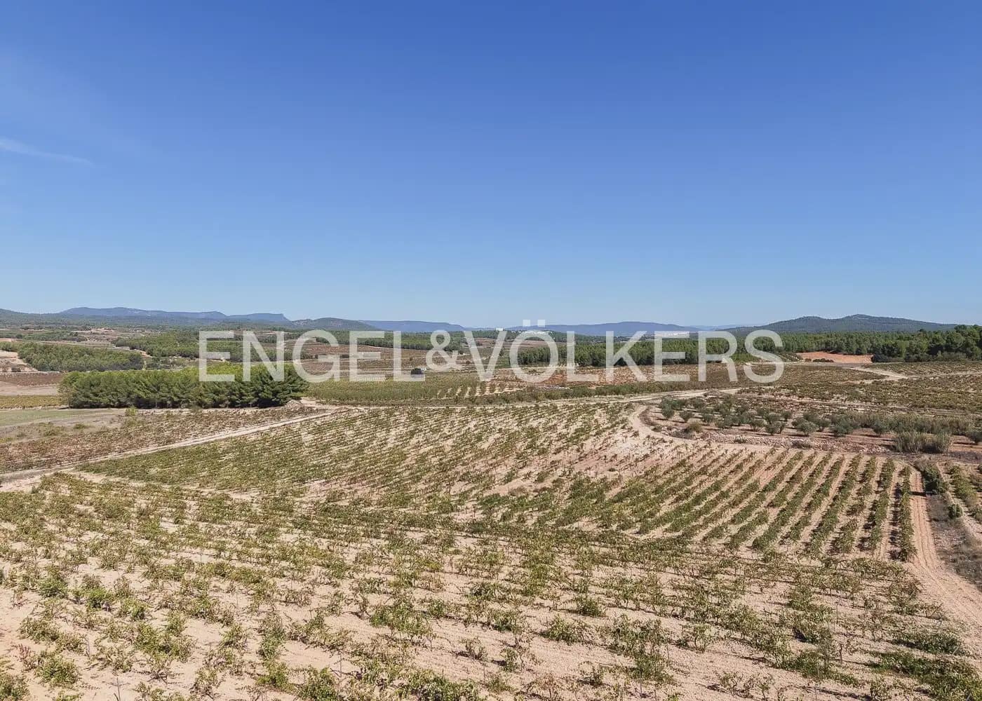 Terre non Aménagée à vendre à Utiel - 239 900 € (Ref: 10113474)