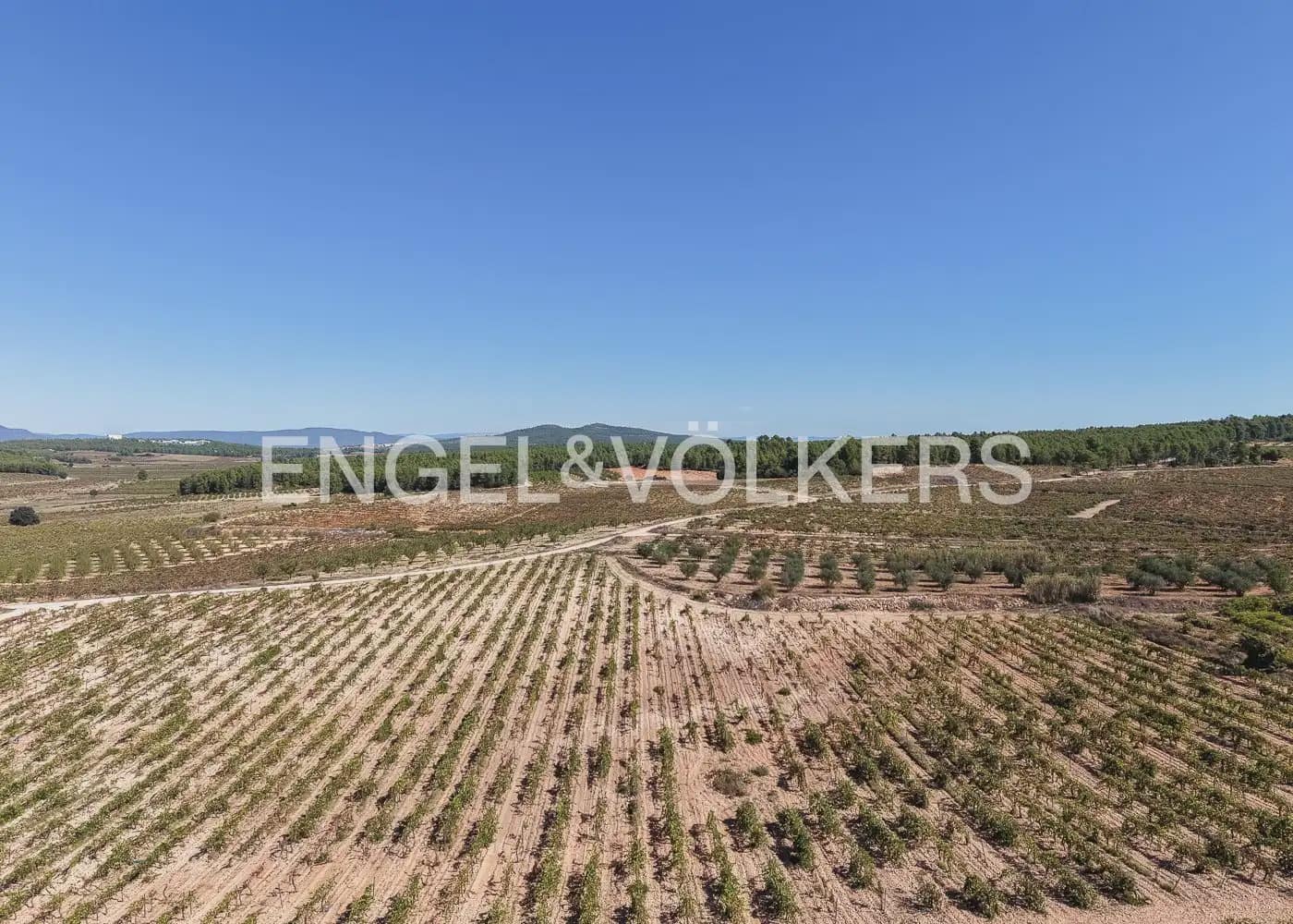 Terre non Aménagée à vendre à Utiel - 239 900 € (Ref: 10113474)