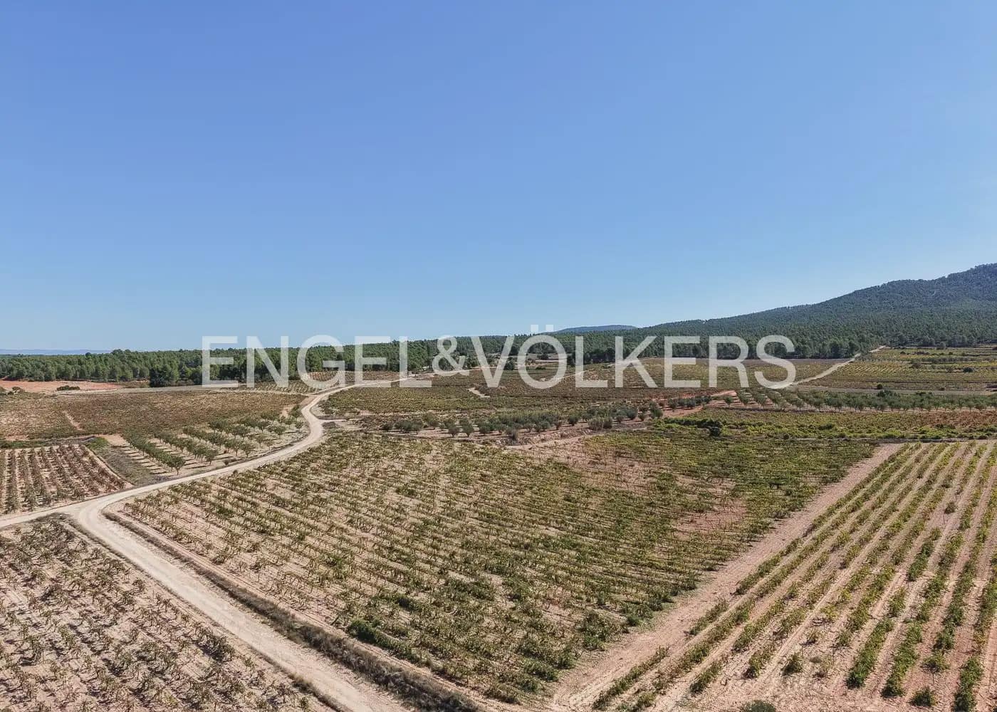Terre non Aménagée à vendre à Utiel - 239 900 € (Ref: 10113474)