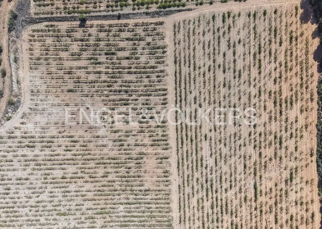 Rakentamaton maa myytävänä paikassa Utiel - 239 900 € (Ref: 10113474)