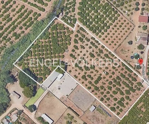 Terre non Aménagée à vendre à Ondara - 79 500 € (Ref: 10154040)