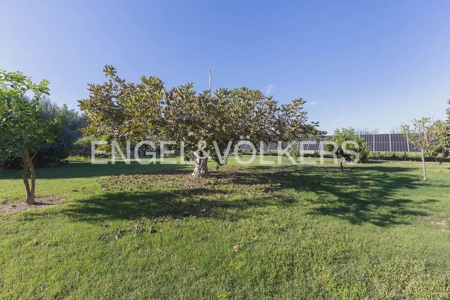 5 sypialnia Finka/Dom wiejski na sprzedaż w Pedreguer z basenem garażem - 1 495 000 € (Ref: 10159892)