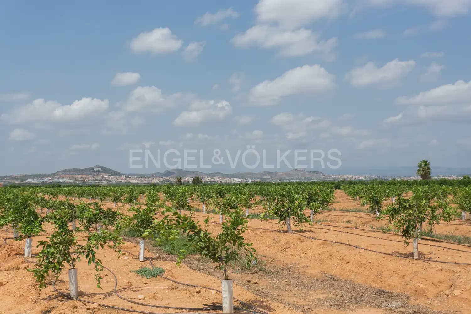 12 bedroom Villa for sale in La Pobla de Vallbona with pool garage - € 1,735,000 (Ref: 8235052)
