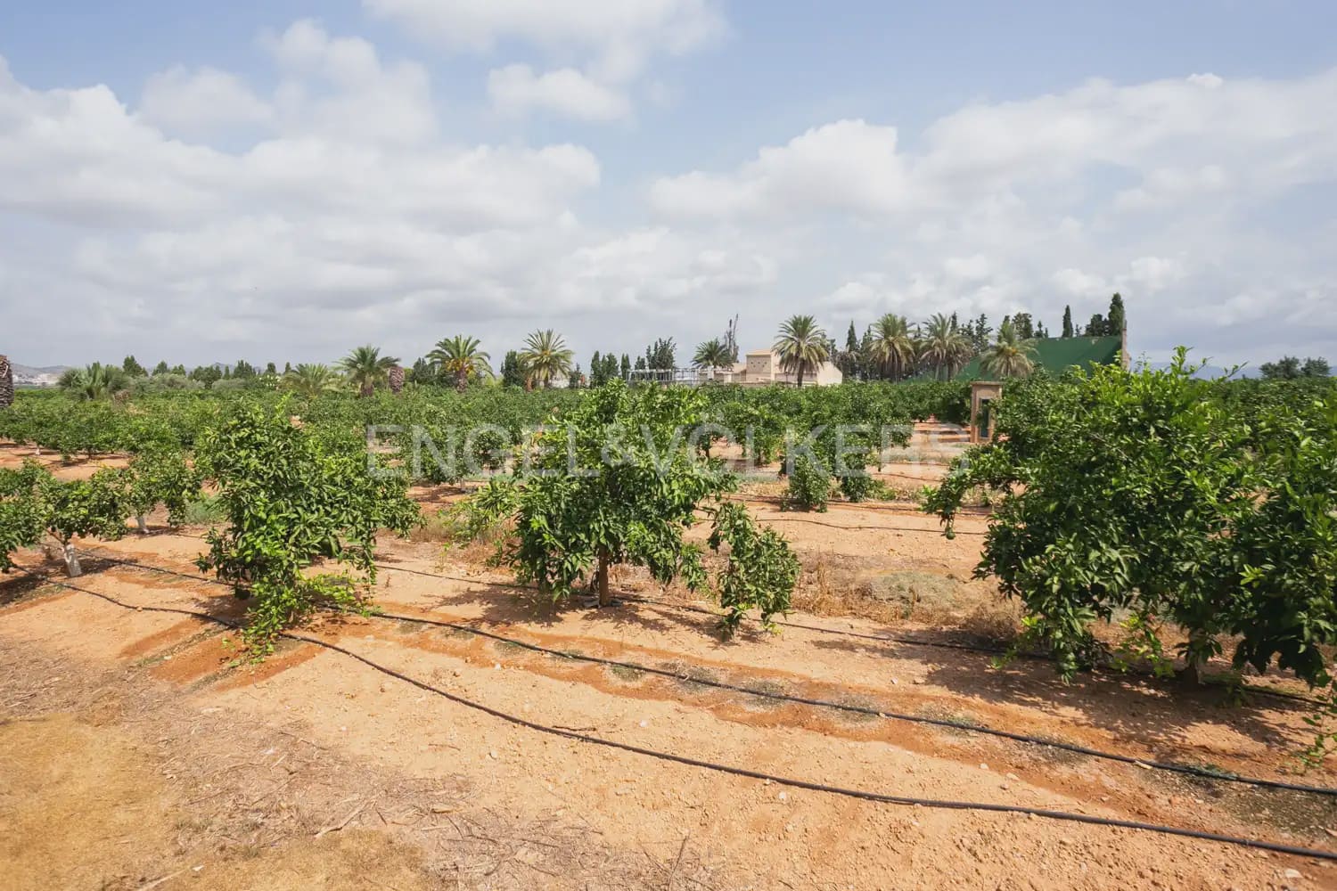12 bedroom Villa for sale in La Pobla de Vallbona with pool garage - € 1,735,000 (Ref: 8235052)
