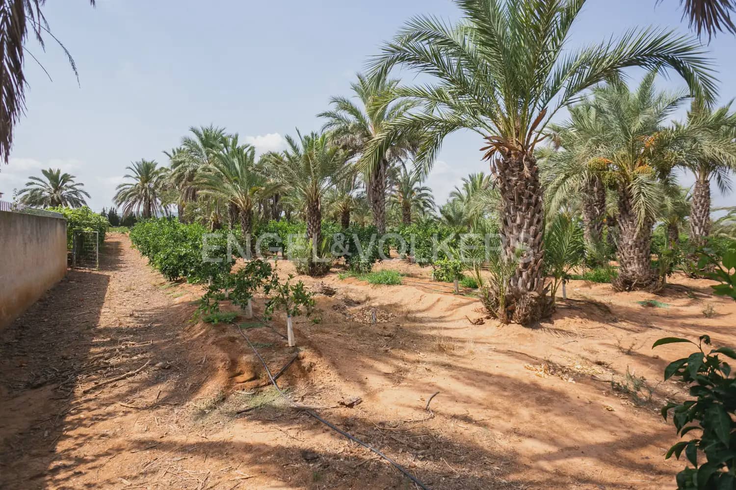 12 bedroom Villa for sale in La Pobla de Vallbona with pool garage - € 1,735,000 (Ref: 8235052)