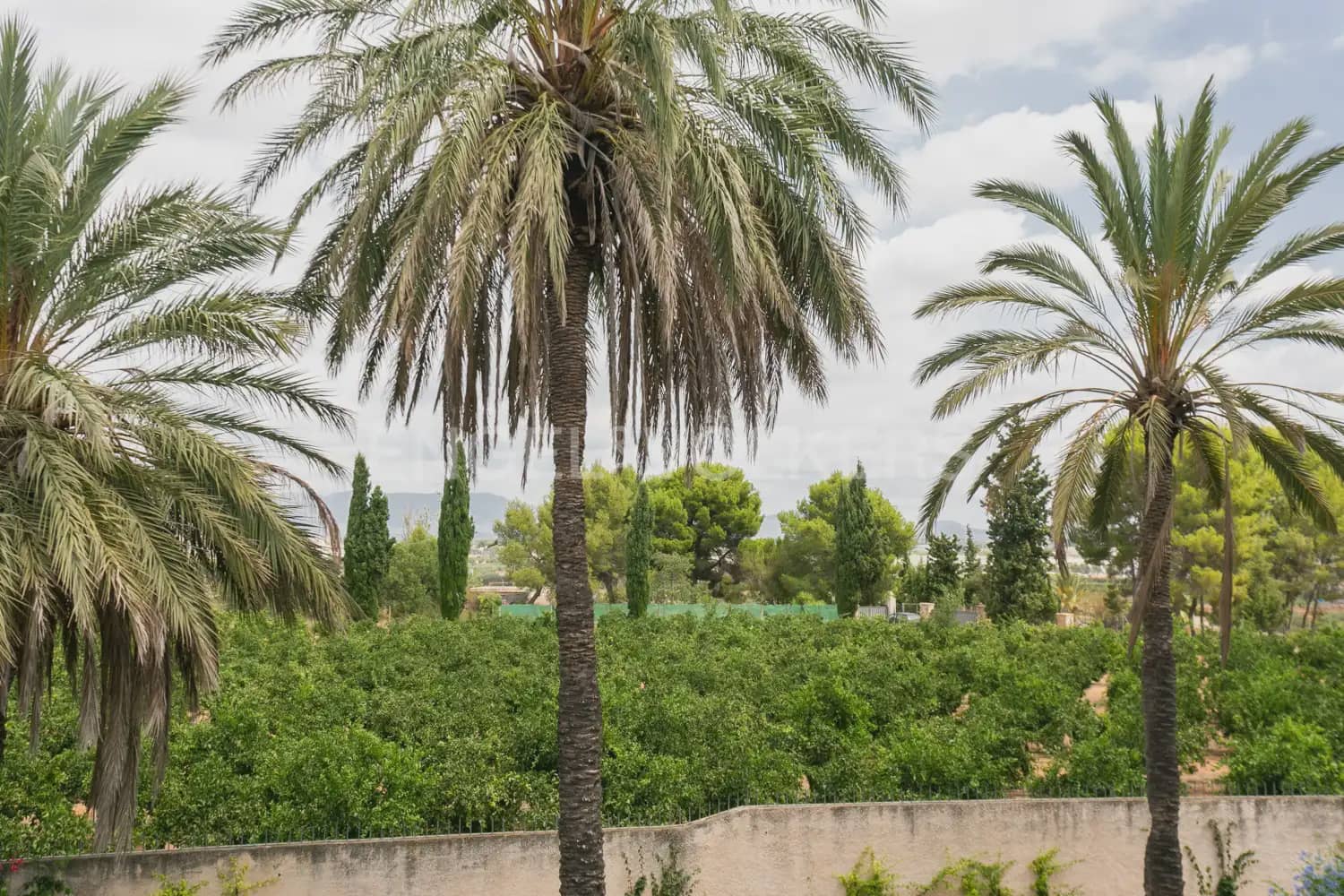 12 bedroom Villa for sale in La Pobla de Vallbona with pool garage - € 1,735,000 (Ref: 8235052)