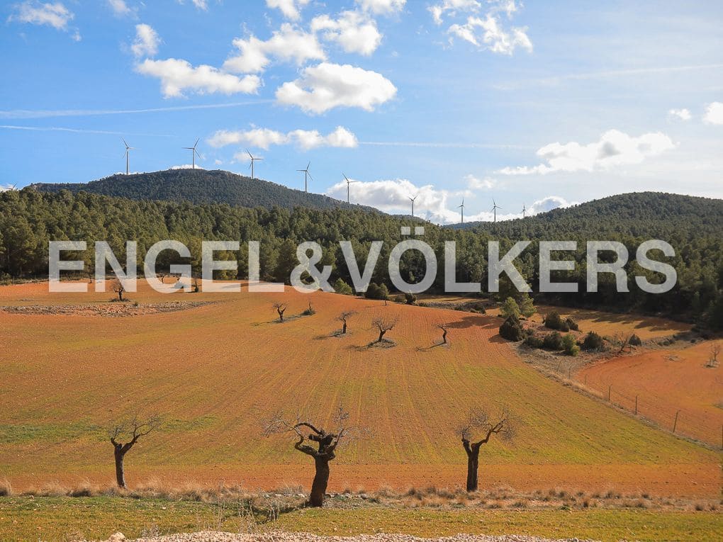 10 bedroom Finca/Country House for sale in Ayora with pool - € 3,900,000 (Ref: 8235132)